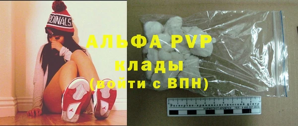 сатива Магадан