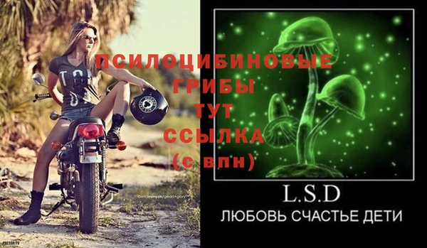 apvp Алзамай