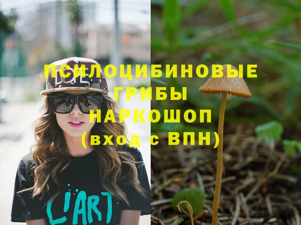 apvp Алзамай
