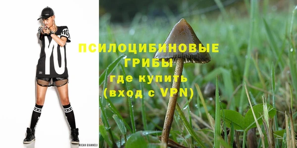 тгк Арсеньев