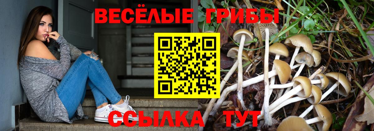 Чернушка  Псилоцибиновые грибы Psilocybine cubensis  магазин продажи наркотиков  Вход с VPN 