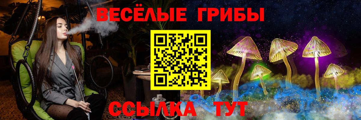 Псилоцибиновые грибы GOLDEN TEACHER Чернушка